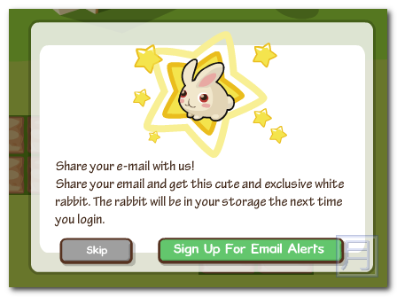 Country Story Camping