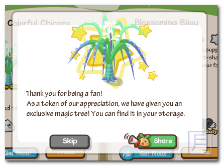 Country Story Camping