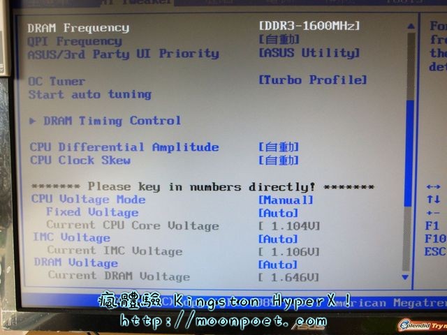  金士頓記憶體 Kingston HyperX LoVo
