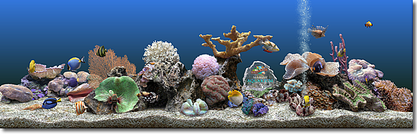 水族箱螢幕保護程式 Marine Aquarium 3