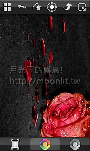 Color Splash FX Color Splash FX