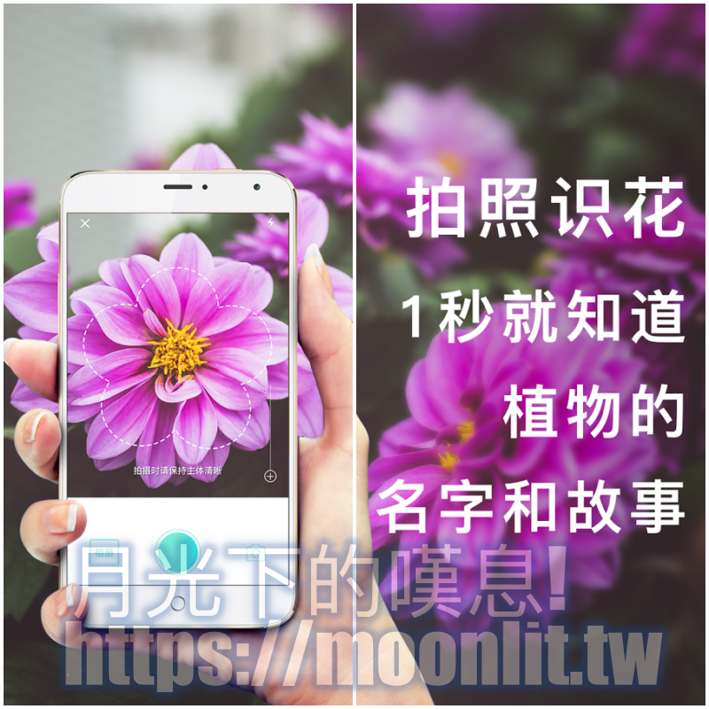 識花神器「形色」- 用拍照查詢植物種類
